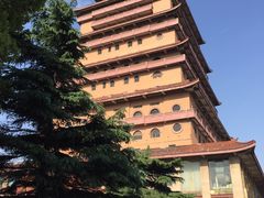 -华西村