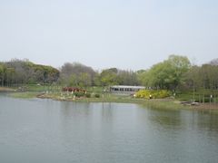 -贡湖湾湿地公园