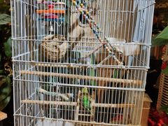-舌尖上的食缘花园主题餐厅
