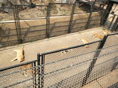 -大连森林动物园