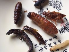 -昆虫窝子·特色云南菜(拓东路总店)