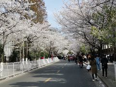 -鸡鸣寺