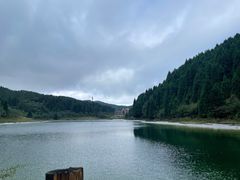 -武陵山森林公园