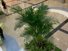 -厦门高崎国际机场-T3航站楼