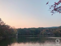 -紫霞湖公园