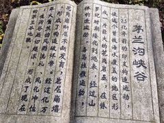 -茅兰沟国家森林公园