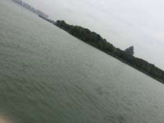 -金鸡湖桃花岛