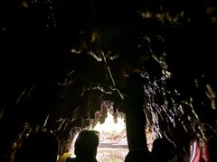 -怀托摩萤火虫洞