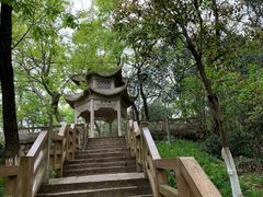 -青龙山公园