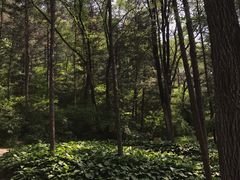 -萨尔浒风景区