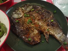 -龚海宝· 烧烤· 羊肉原切挂糊更好吃(庄市店)
