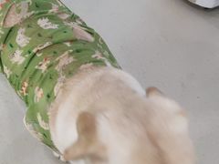 -共舞时光猫咖·狗咖(新街口店)