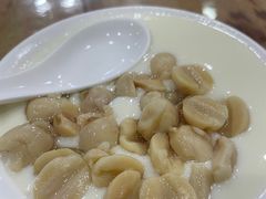 -沙湾姜埋奶(兴新包店)