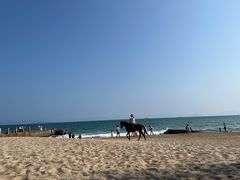 -玫瑰海岸文化旅游度假区