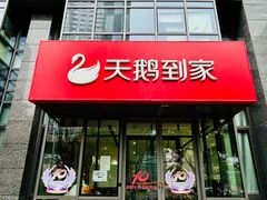 -天鹅到家·保姆月嫂育儿嫂(总店)