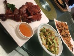 吊烧琵琶鸭-丽华园(汉阳龙阳店)