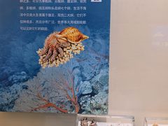 -常州博物馆