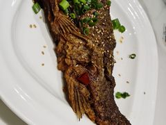 -高玛纳驴肉火烧(河间店)