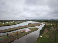 -春花秋色城市公园