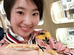 -藦茜花园宠物主题亲子互动体验馆(国顺东路店)