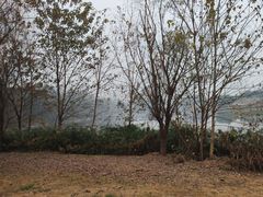 -中国天府农业博览园