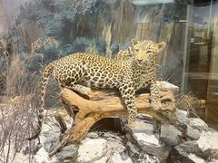 -陕西自然博物馆