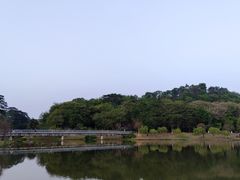 -东莞植物园
