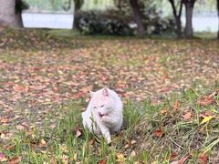 -东华大学(松江校区)