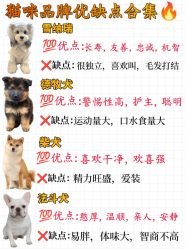-神奇动物撸宠馆·羊驼·小浣熊·异宠(豫园店)