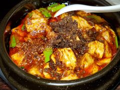 -陈麻婆豆腐总店