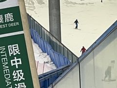 -哈尔滨热雪奇迹