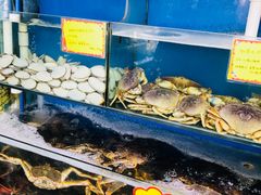 -蚝专家(北滘店)