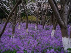 -白塘生态植物园