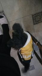 -杉惠素颜美妆皮肤管理中心