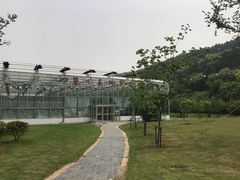 -龙寺生态园