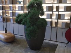 -全季酒店(北京首都机场新国展店)