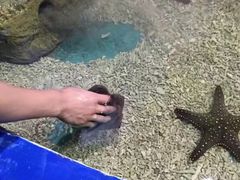 -重庆欢乐海底世界