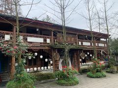 -青城甲(青城山店)