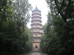 -灵谷景区