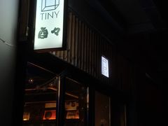 -TINY
