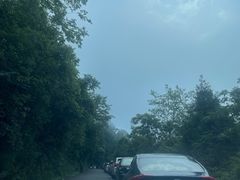 -武陵山森林公园