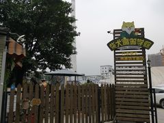 -柴犬高等学院·狗咖·柴犬售卖·宠物训练