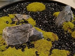 -潮州府·潮菜·砂锅粥(徐家汇店)