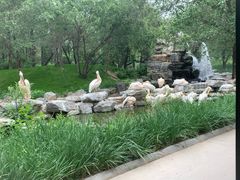 -北京野生动物园