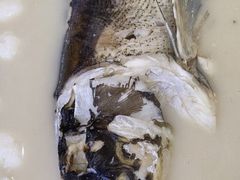 -香山湖渔家大院