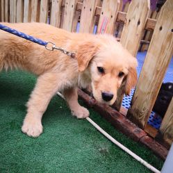 -萌宠亲子动物乐园(槐房万达店)