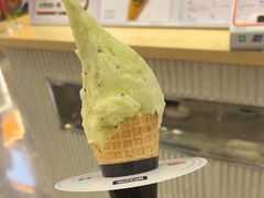 -野人先生现做冰淇淋(西安赛格店)