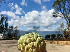 -腾冲云峰山