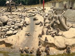 -常州淹城野生动物世界