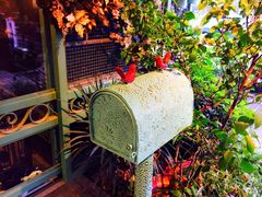 莫奈花园法式甜点-莫奈花园法式蛋糕